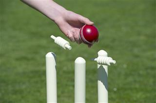 Cricket Ball And Wicket