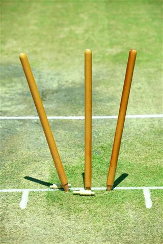 Cricket Stumps