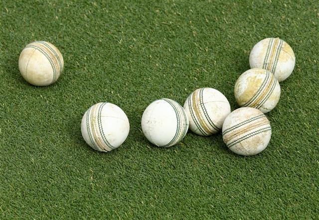 Cricket Balls On Grass