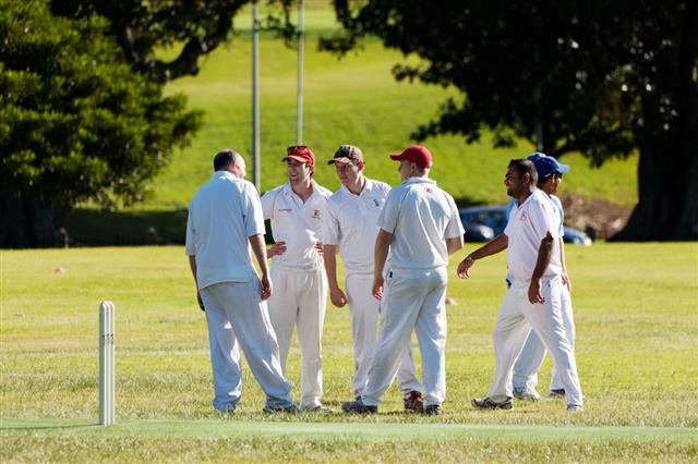 Group Of People Playing Cricket