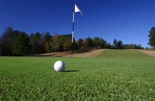 Golf Ball On Golf Course