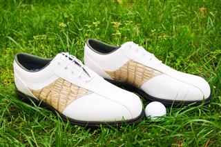 Golf Shoe And Ball