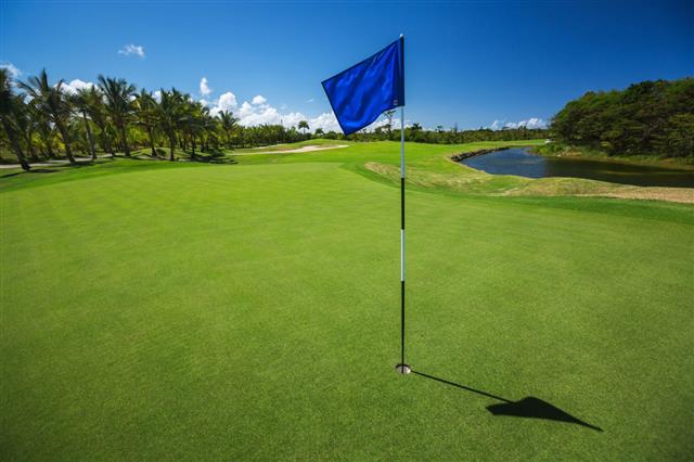 Tropical Landscape Of Golf Court
