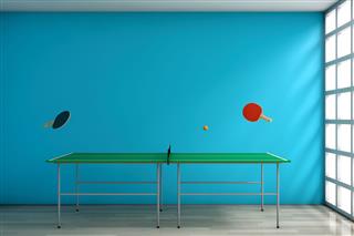 Ping Pong Table With Paddles