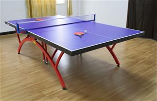 Ping Pong Table And Ball
