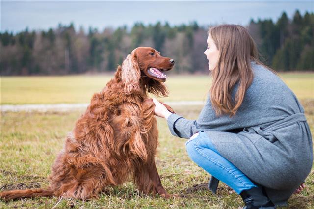 Woman Enjoying Time With Pet Dog