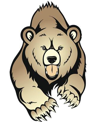 Brown Bear Illustration