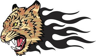Tiger fire tattoo design