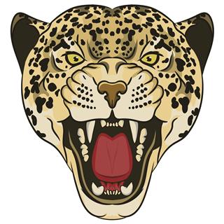 Leopard Head Portrait