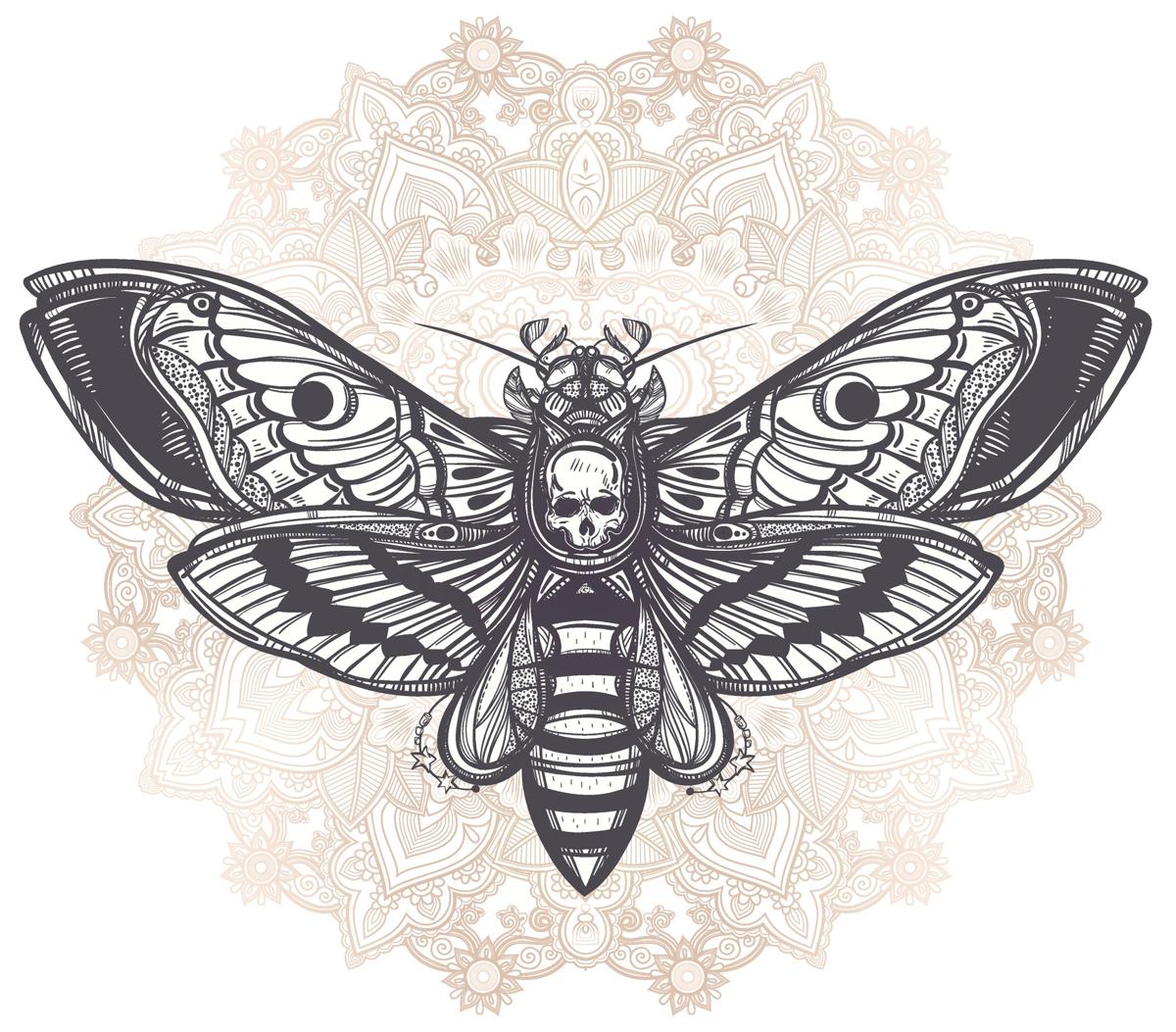 Free Free 164 Stencil Butterfly Skull Svg SVG PNG EPS DXF File
