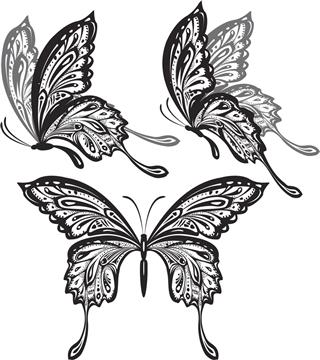 butterflies illustration tattoo