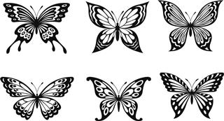 Beautiful butterflies tattoo