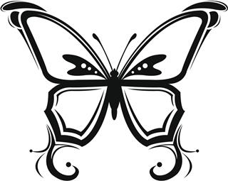 Illustration of butterfly tattoo