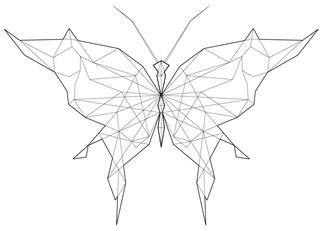 Vector drawing of butterfly