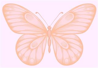 Light pink butterfly design