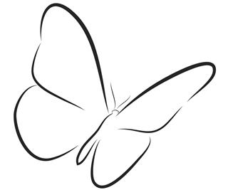 Butterfly line art