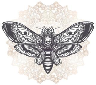 Butterfly with skull design