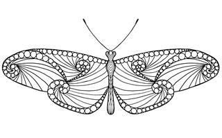 Butterfly tattoo drawing