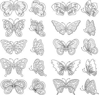 Black and white drawing butterflies