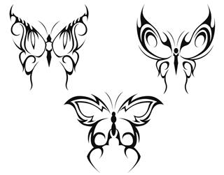 Butterfly tattoo illustration