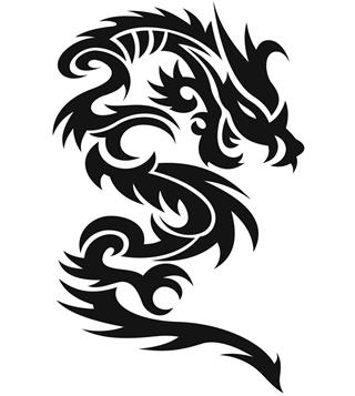 Dragon illustration design