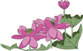 Lotus flower art tattoo