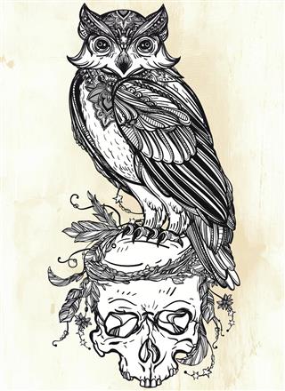 Owl on skull design