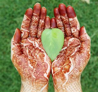Leaf in henna hands