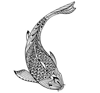 Hand drawn koi fish