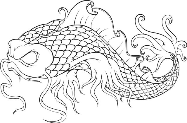 Koi fish illustration