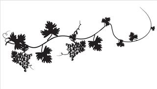 Black silhouette of grapes