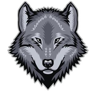 Wolf head in gray color
