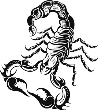 Black scorpion design