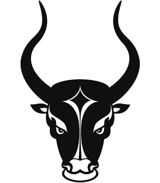 Black isolated bull head