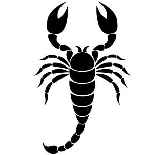 Scorpion silhouette illustration
