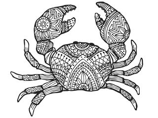 Hand draw design of crab