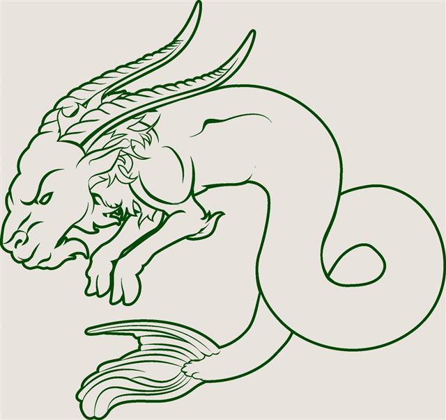 Sea goat illustration image