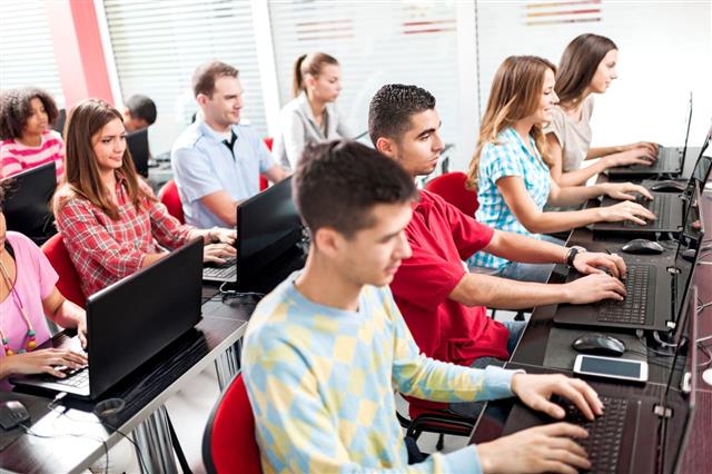 Group Of People At Computer Class