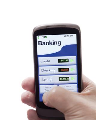 Person Using Mobile Banking App