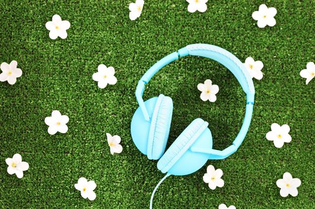 Headphones On Grass With Flowers