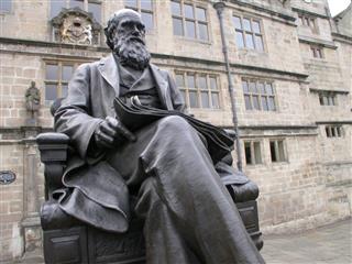 Darwin's statue