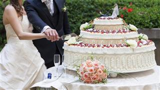 Cut wedding cake
