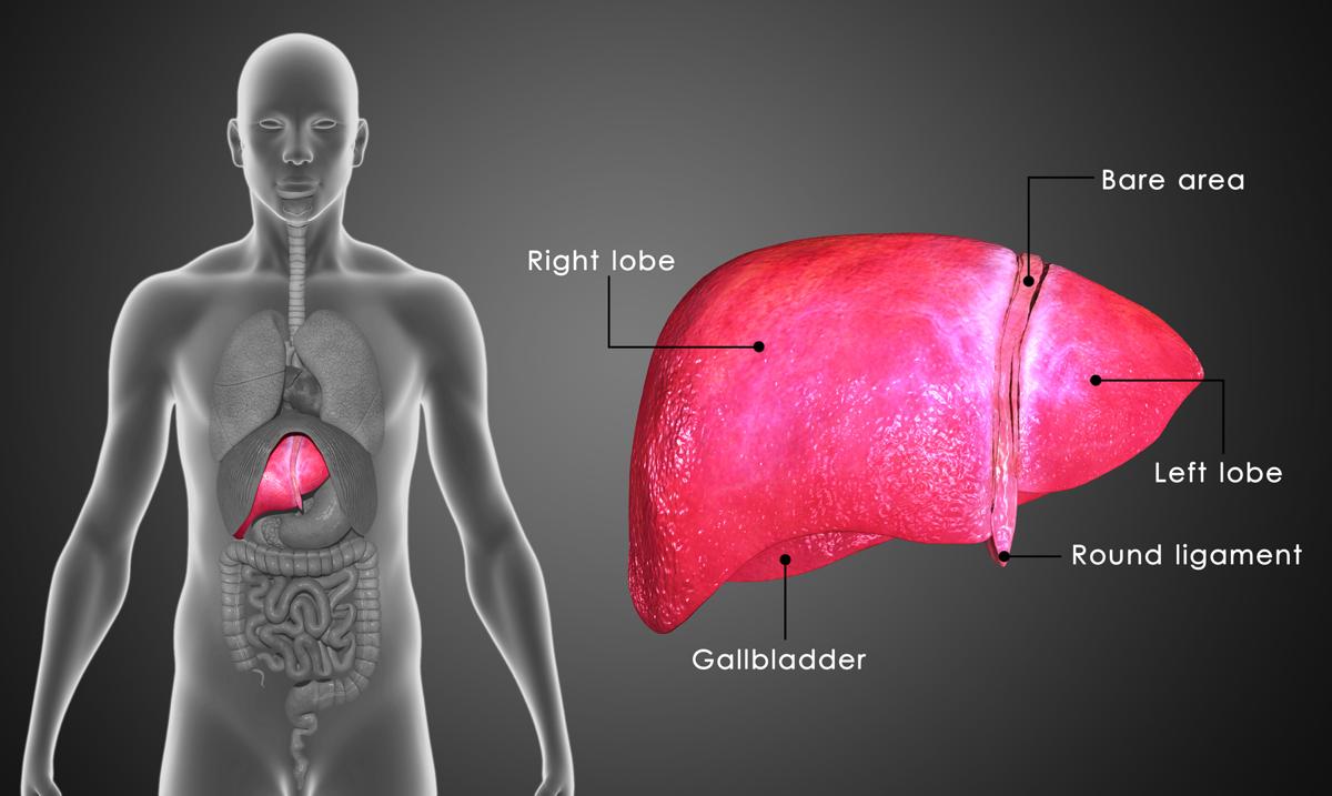 Prognosis for Liver Metastases