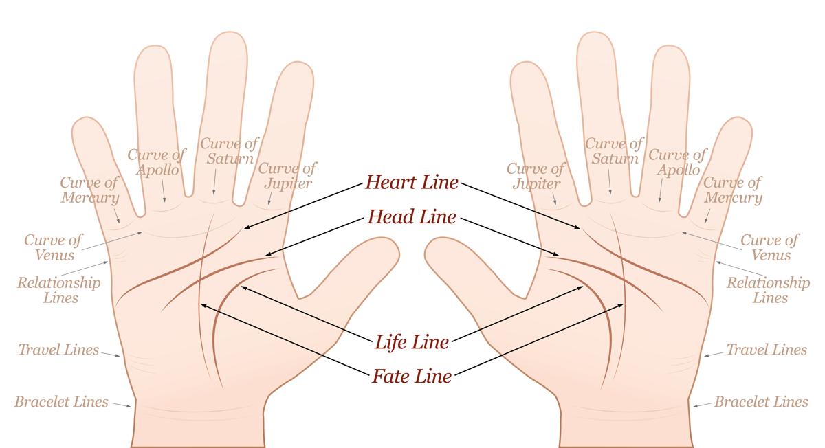 Palmistry Hand Chart