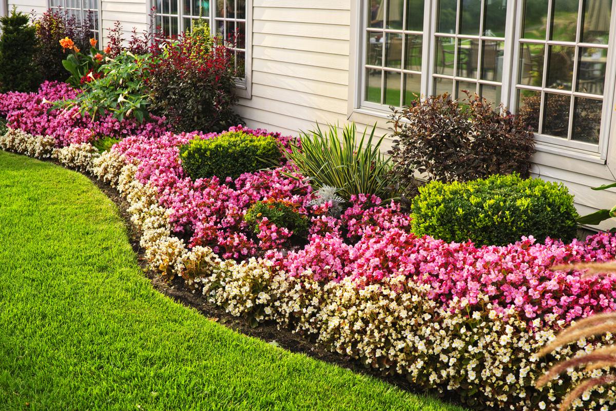 Flower Garden Layout Design Ideas That'll Make Your Neighbors Jealous ...