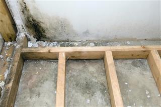 Mold grows in basement bathroom