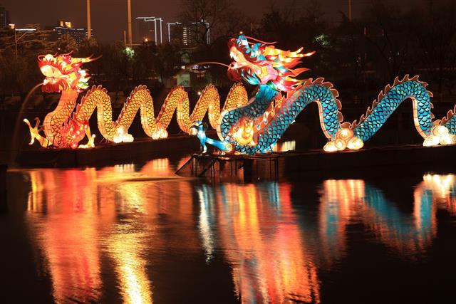 Chinese traditional dragon