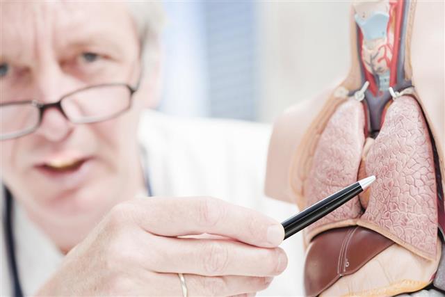 Doctor pointing at lung