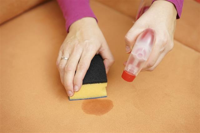 Cleaner is cleaning stain on sofa with sponge