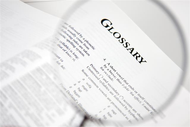 Magnified view of glossary law in a book